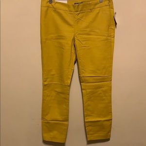 Polka dot dress pants